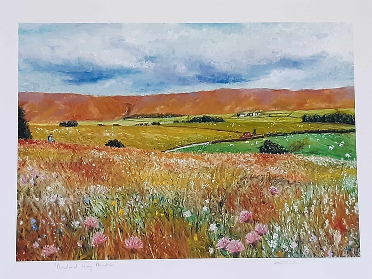 Bowland Hay Meadow