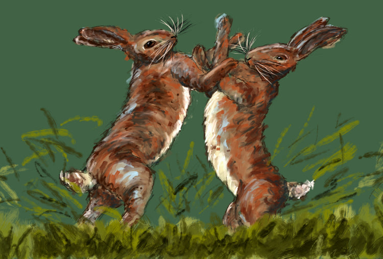 Boxing Hares