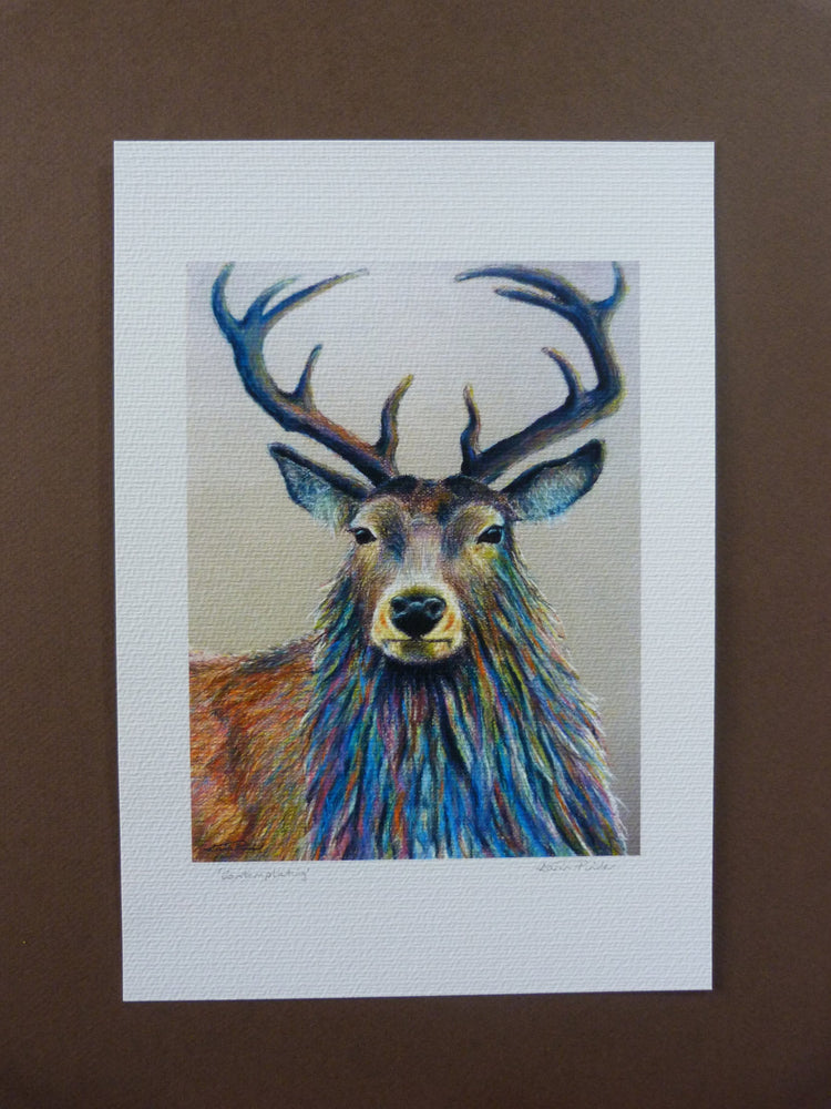 Contemplating Stag