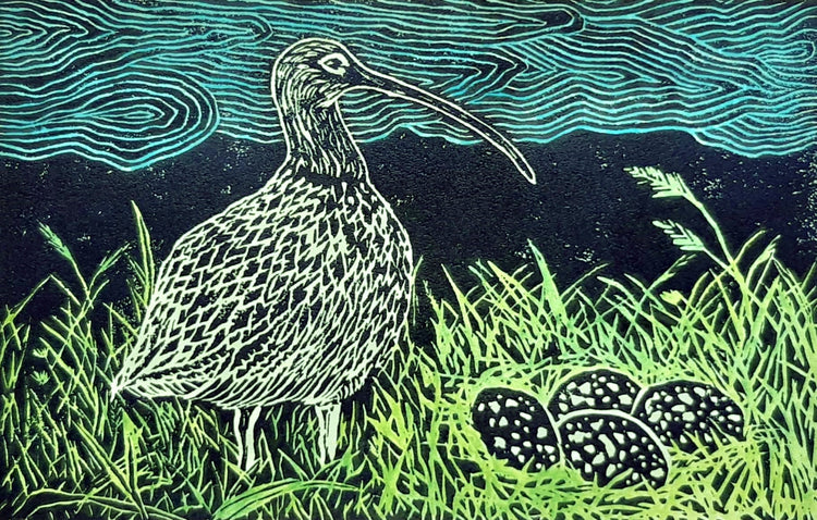 A Curlew's Nest