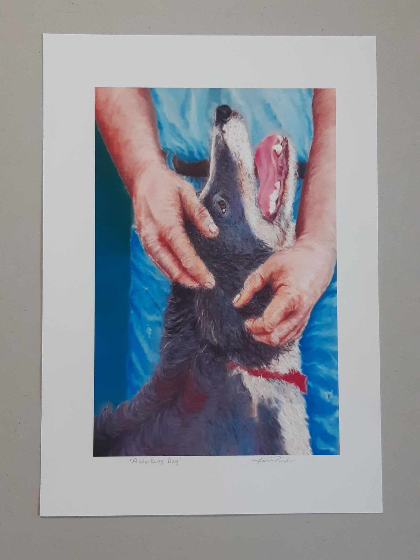A Working Dog Border Collie Wall Art 2 Sizes
