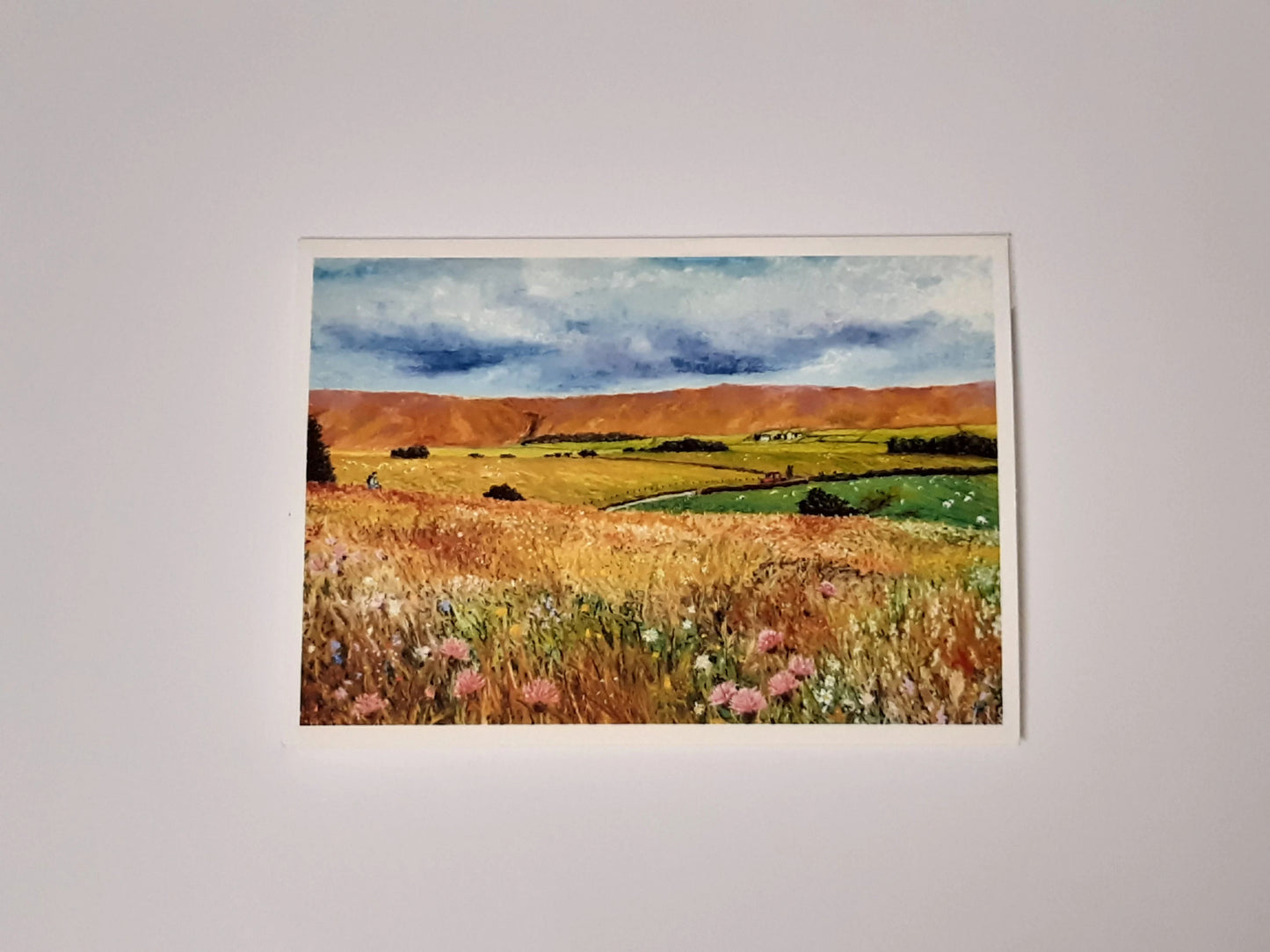 Bowland Hay Meadow Lancashire Landscape 5 x 7 Inch Greeting Card