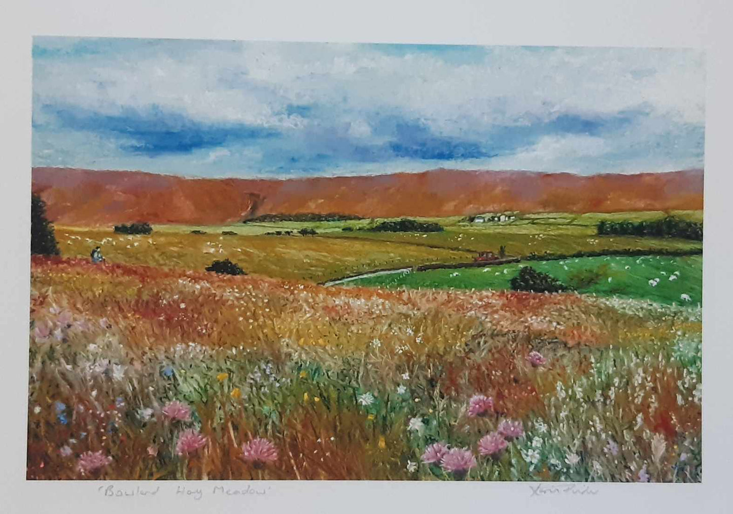 Bowland Hay Meadow Lancashire Wall Fine Art Print