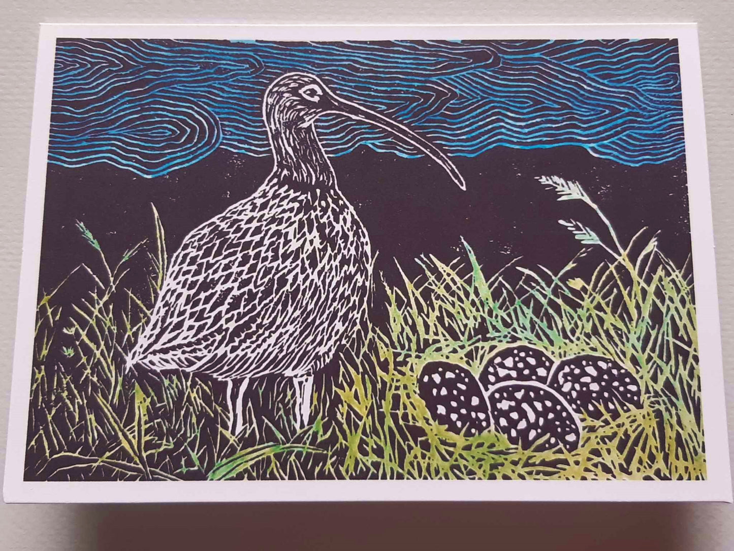 A Curlew's Nest 5 x 7 Inch Greeting Card