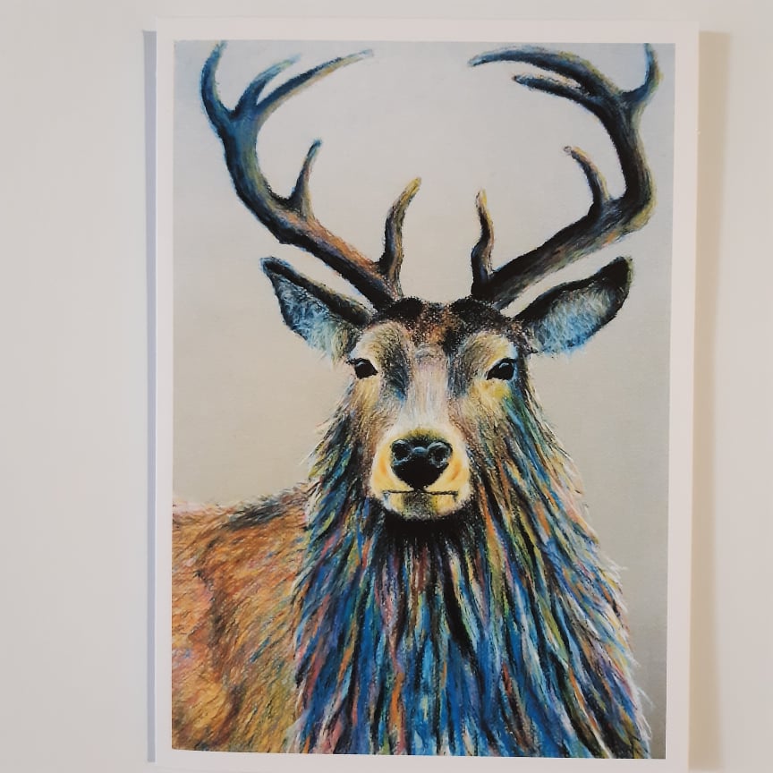 Contemplating Stag 5 x 7 Inch Greeting Card