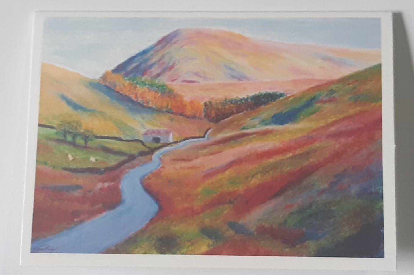 Morning Sun Over Trough Road 5 x 7 Inch Greeting Card