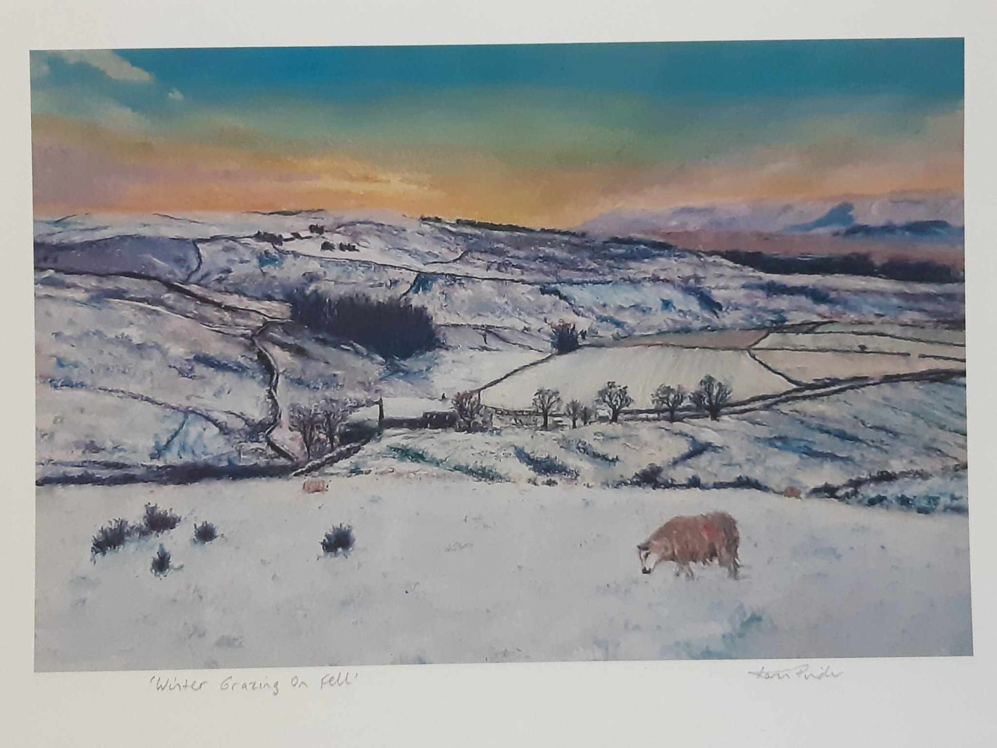 Winter Grazing On Fell Wall Art Print 2 Sizes
