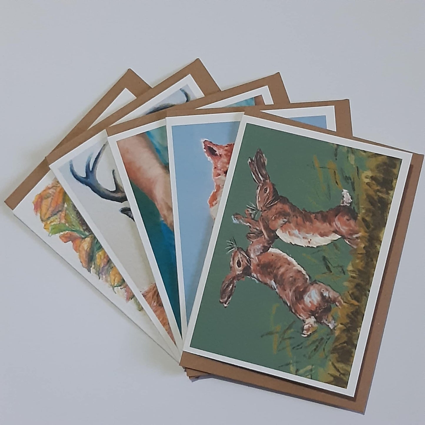 Animal Artwork Notecards Set of 5 Assorted Designs A6 Size