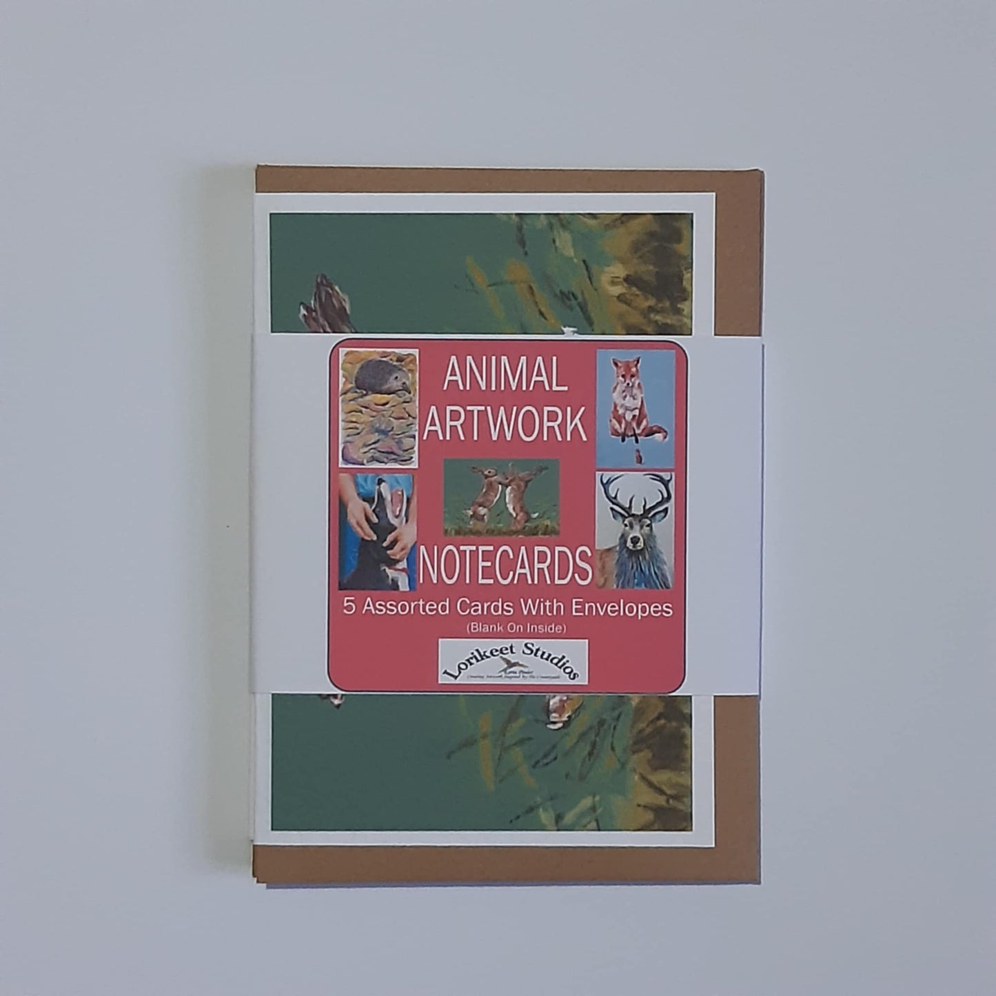 Animal Artwork Notecards Set of 5 Assorted Designs A6 Size