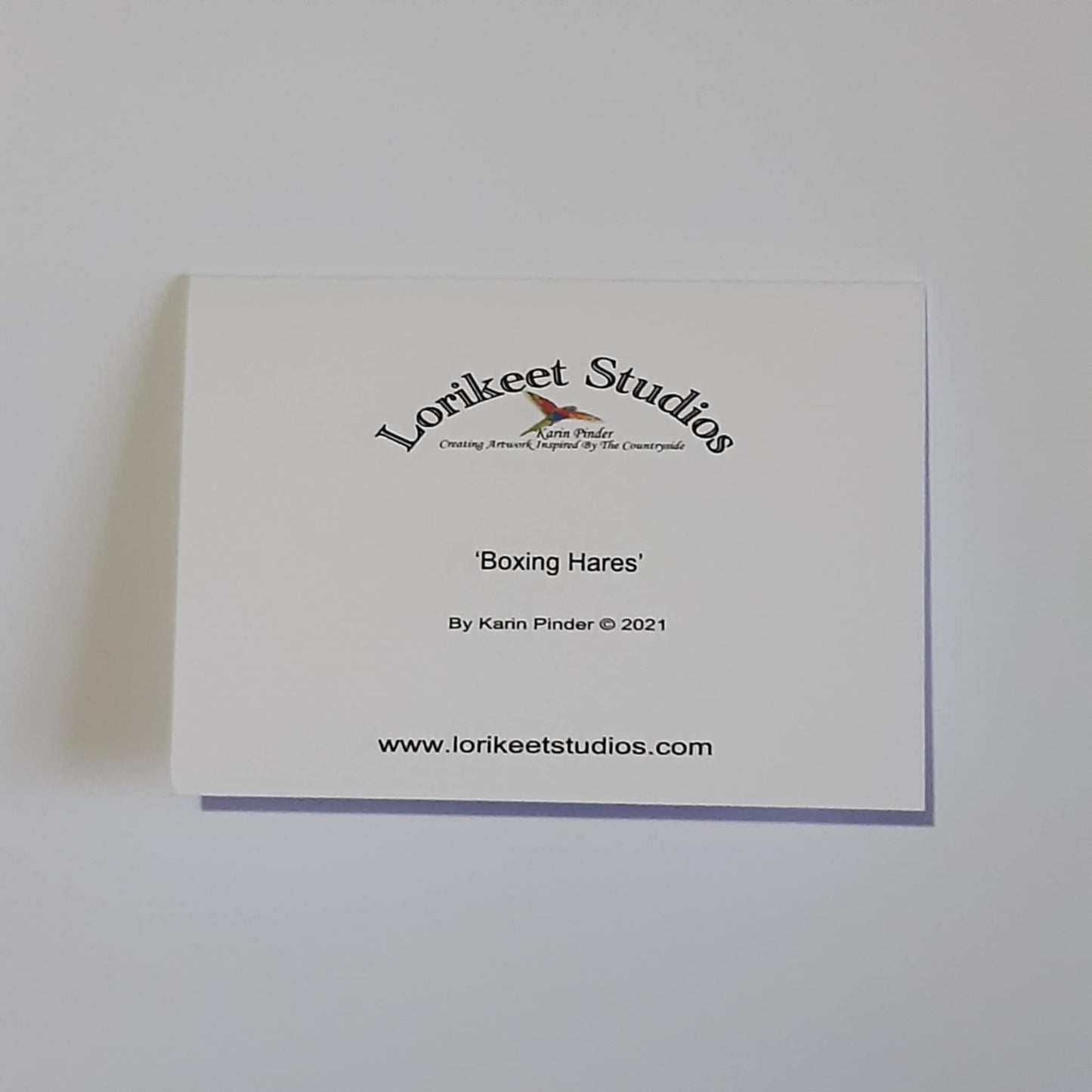 Animal Artwork Notecards Set of 5 Assorted Designs A6 Size