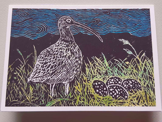 A Curlew's Nest 5 x 7 Inch Greeting Card