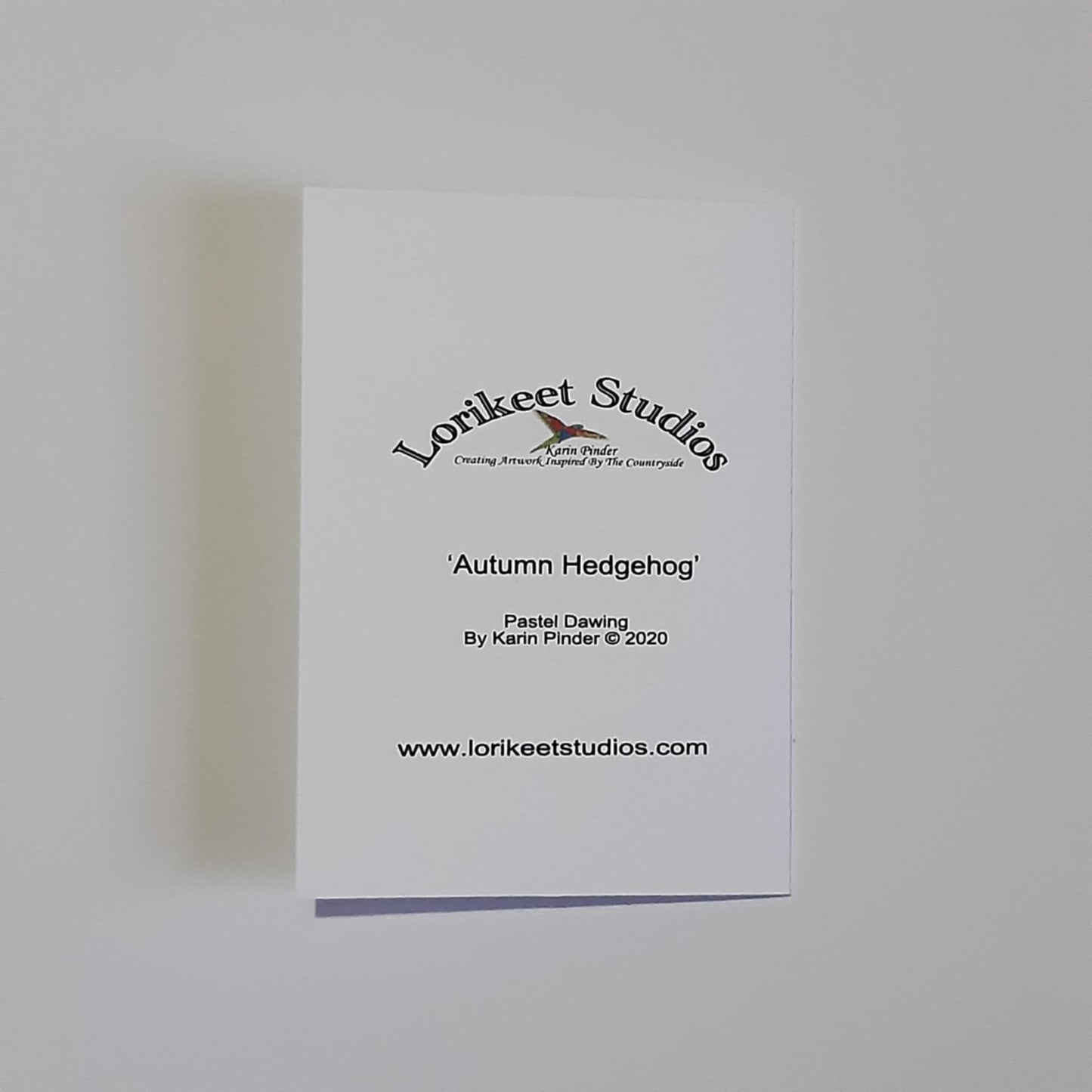 Animal Artwork Notecards Set of 5 Assorted Designs A6 Size