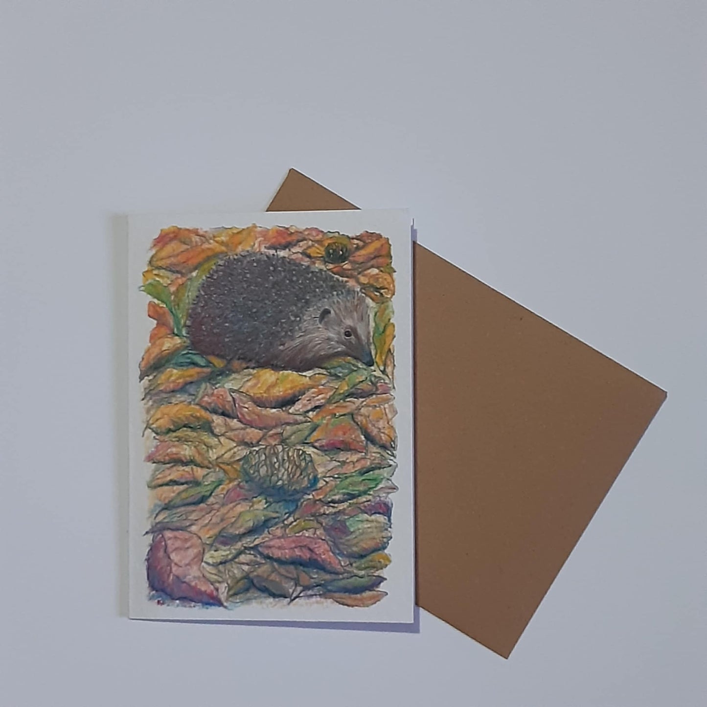 Animal Artwork Notecards Set of 5 Assorted Designs A6 Size