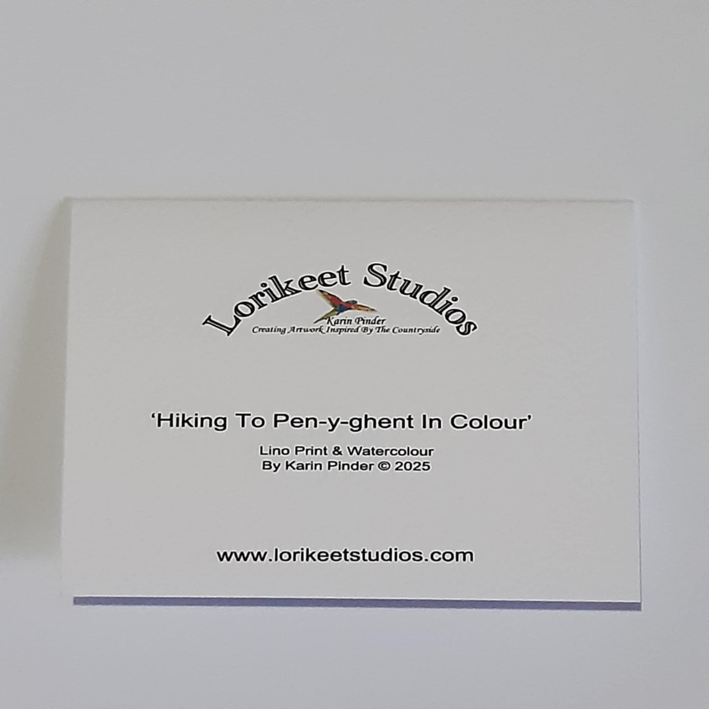 Lino Print Notecards Set of 5 Assorted Designs A6 Size