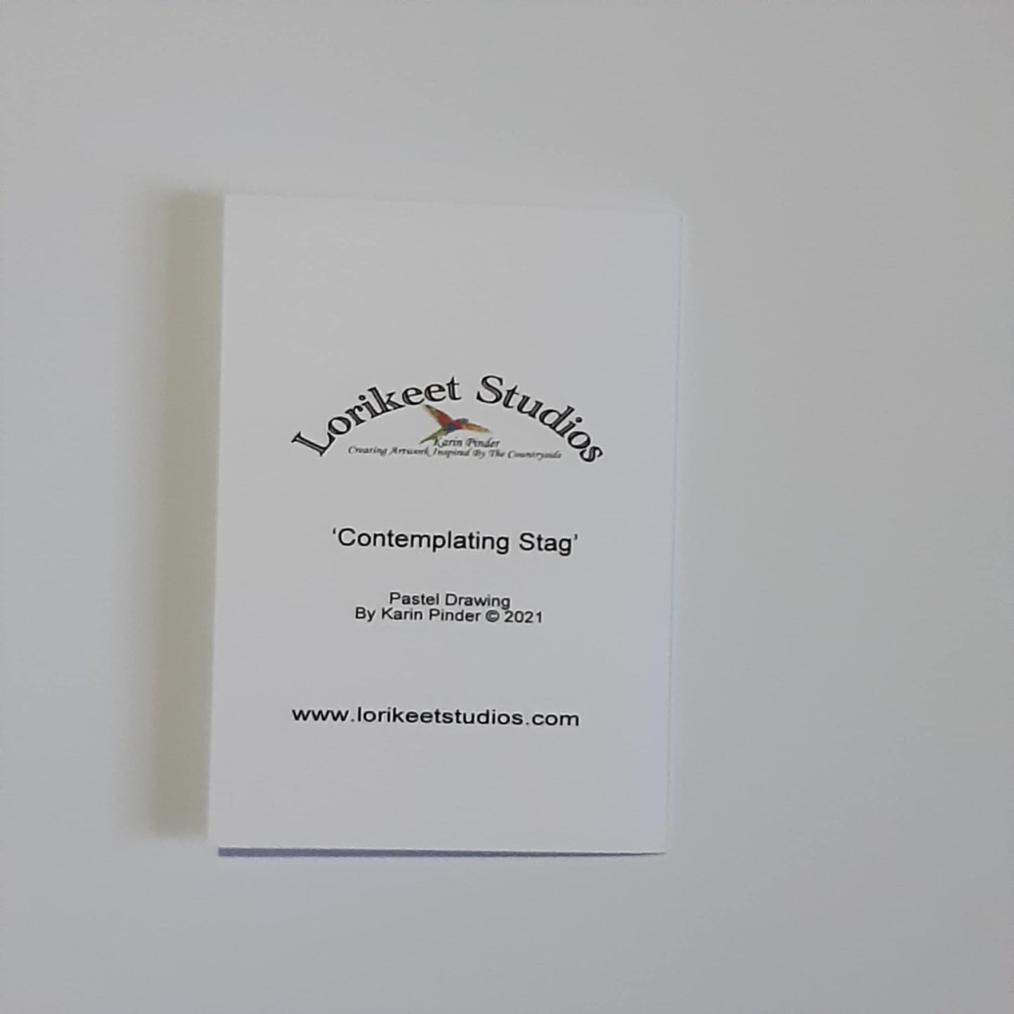 Animal Artwork Notecards Set of 5 Assorted Designs A6 Size